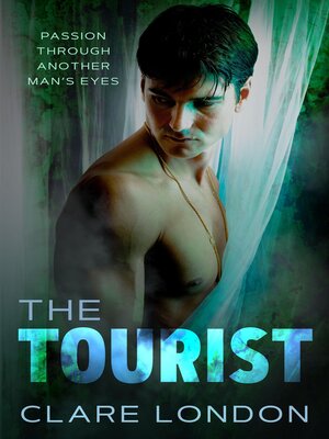 cover image of The Tourist